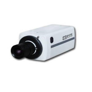 IP-камера в стандартном корпусе